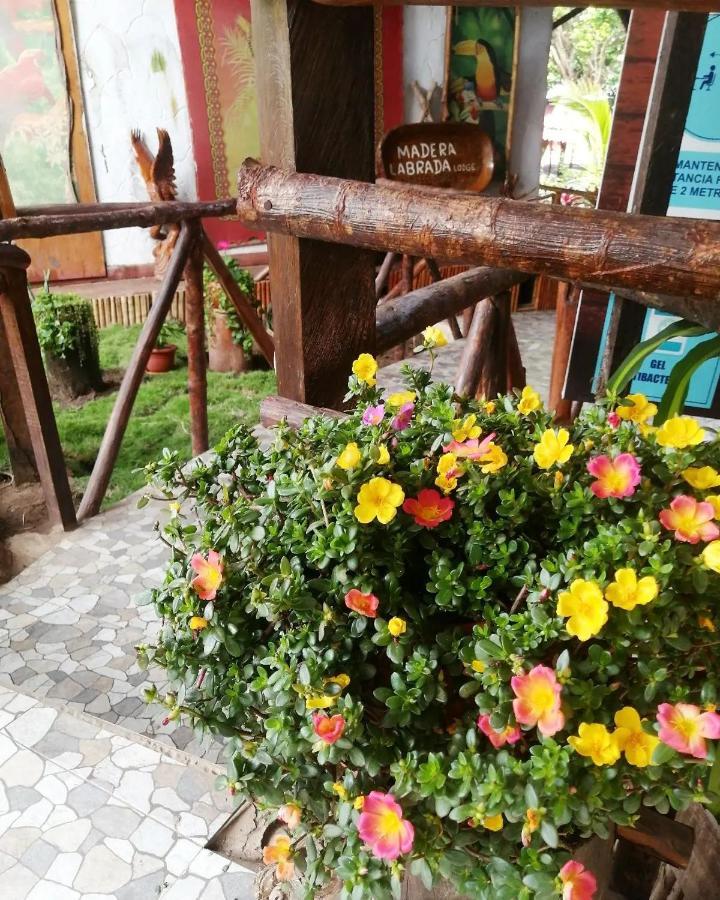 Madera Labrada Lodge Ecologico Tarapoto Luaran gambar